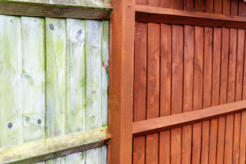 before and after stained fence